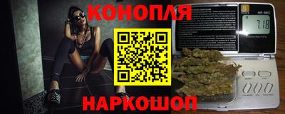 дживик Камышлов